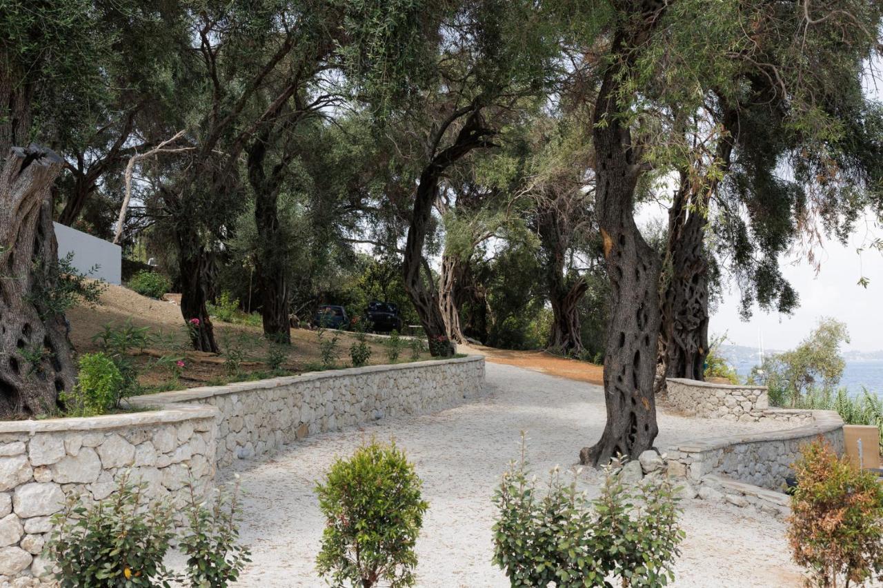 Villa Nisos Corfu Benitses (Corfu)